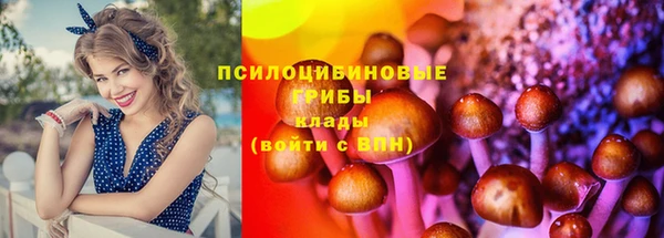 jwh Гусиноозёрск