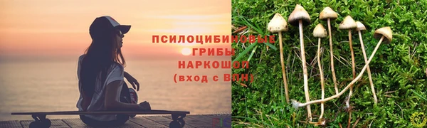 jwh Гусиноозёрск