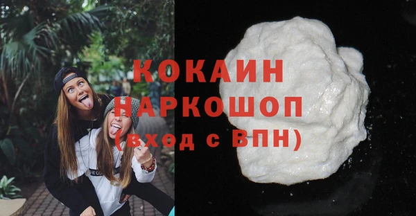 винт Гусев