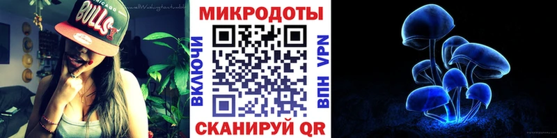 Псилоцибиновые грибы Psilocybe  Чернушка 