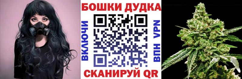 Шишки марихуана SATIVA & INDICA  магазин продажи   Чернушка 